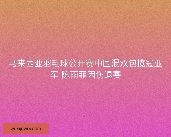 马来西亚羽毛球公开赛中国混双包揽冠亚军 陈雨菲因伤退赛