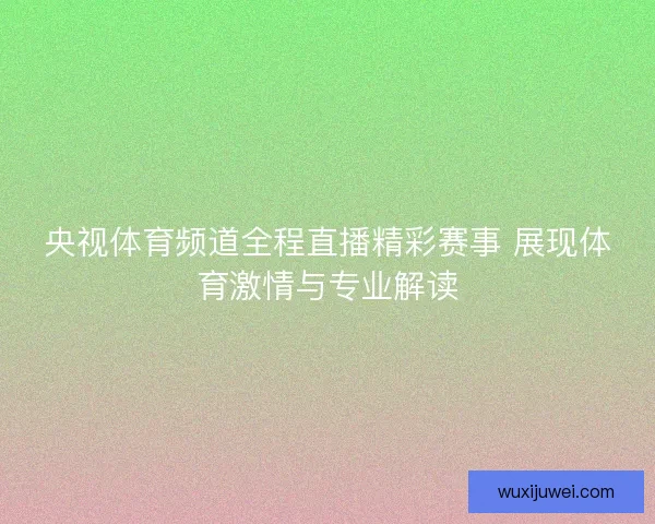央视体育频道全程直播精彩赛事 展现体育激情与专业解读